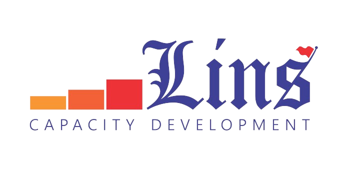 Lins Consult Ltd Logo